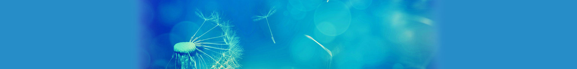 おすすめポイント